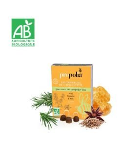 Gum eucalyptus honey-propolis, 45 g